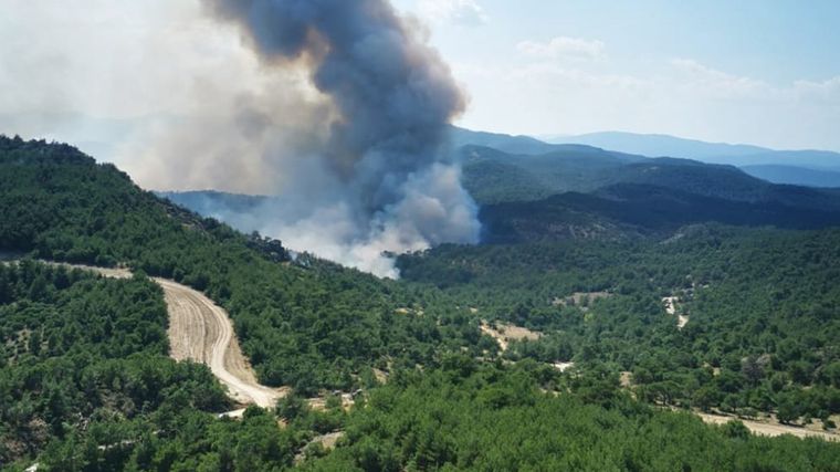Συνεχίζεται η επιχείρηση κατάσβεσης στο Εθνικό Πάρκο Δαδιάς-Μαίνεται η φωτιά σε Λέσβο και Ηλεία
