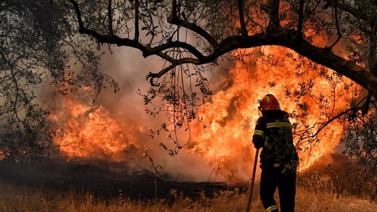 Συνεχίζεται η μάχη με τις φλόγες στη Θάσο, μήνυμα από το 112 για προληπτική εκκένωση του οικισμού στα Κοίνυρα