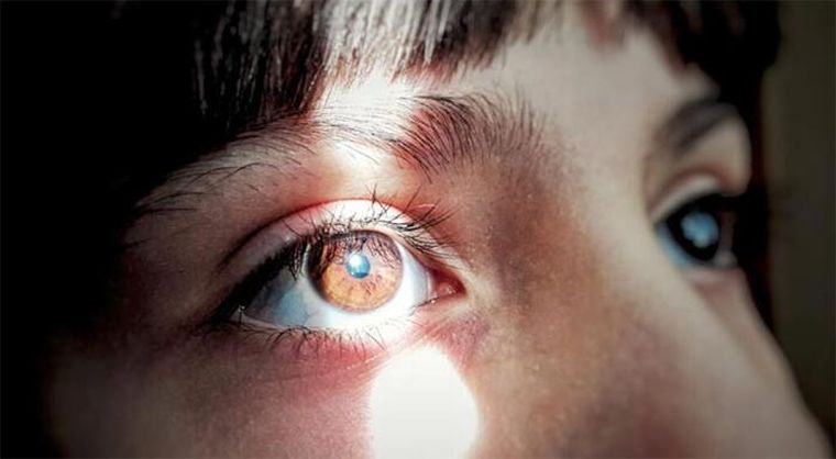 Οραση σε τυφλούς με κολλαγόνο από χοίρο