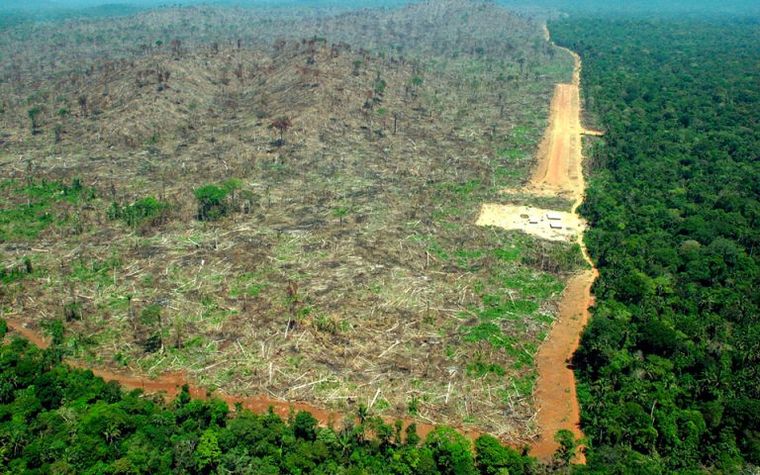«Κόκκινος συναγερμός» στην Αμαζονία, το 26% έχει καταστραφεί ανεπανόρθωτα