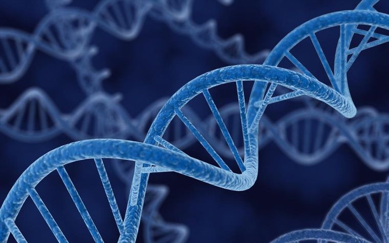 Μπορούμε να αλλάξουμε το «πεπρωμένο» των γονιδίων μας;