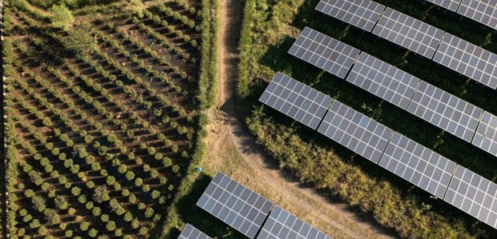 Ένα από τα μεγαλύτερα φωτοβολταϊκά πάρκα προς όφελος της αγροτικής παραγωγής της Θεσσαλίας, ετοιμάζεται να
