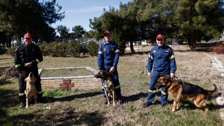 Φιντέλ, Τάλως, Έκτωρ: τα σκυλιά της ΕΜΑΚ που σώζουν ζωές