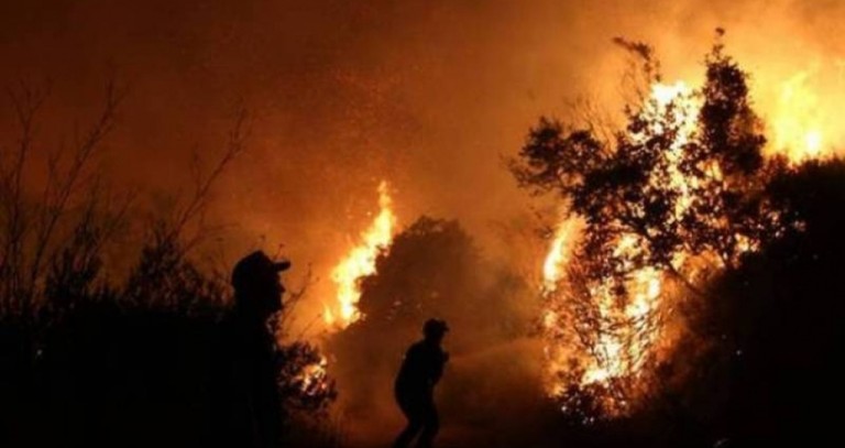 Σε ύφεση η φωτιά στη Φθιώτιδα - Οριοθετήθηκε η πυρκαγιά στη Λιβαδειά