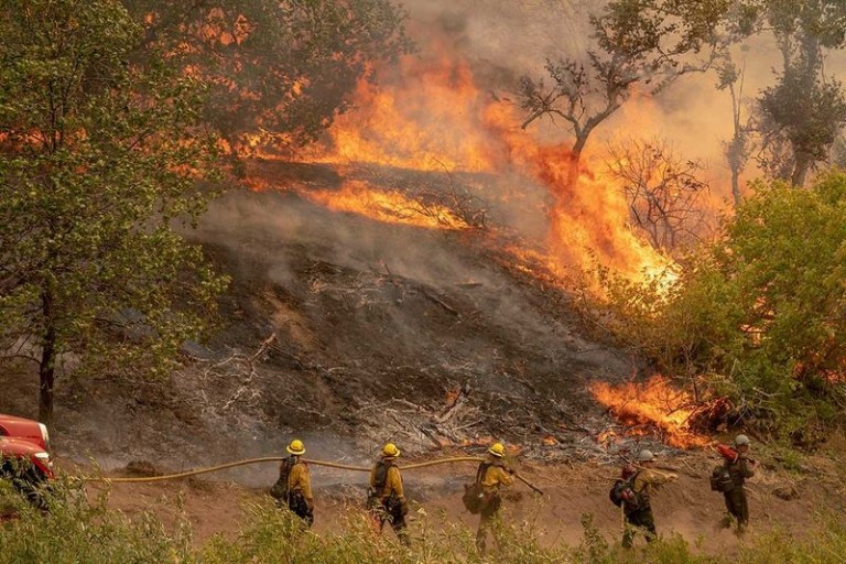 Σχεδόν 30.000 άνθρωποι απομακρύνθηκαν στον δυτικό Καναδά λόγω δασικών πυρκαγιών