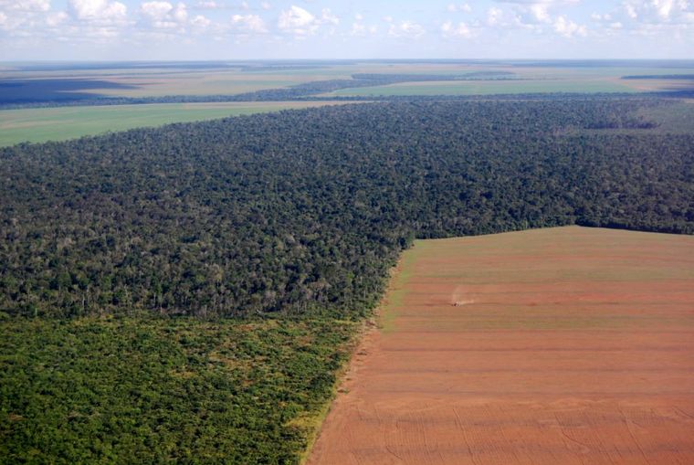 Βραζιλία: «Φρένο» στη αποψίλωση του Αμαζονίου από τον Πρόεδρο Λούλα