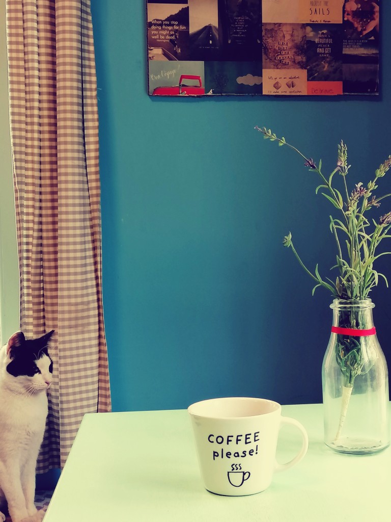 Τα cat cafe που έχουν γίνει ...viral στο εξωτερικό κι ένα γατόφιλο καφέ στην Θεσσαλονίκη
