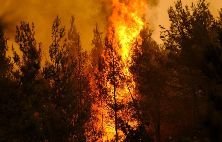 Πολύ υψηλός κίνδυνος πυρκαγιάς για 6 περιφέρειες της χώρας