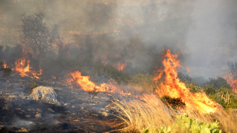 Ινστιτούτο Max Planck για πυρκαγιές σε Ελλάδα: Η εγκατάλειψη των γεωργικών καλλιεργειών έφερε την αγρανάπαυση