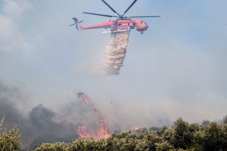 Φωτιά στην Πάρνηθα: Οι φλόγες μπήκαν στον Εθνικό Δρυμό