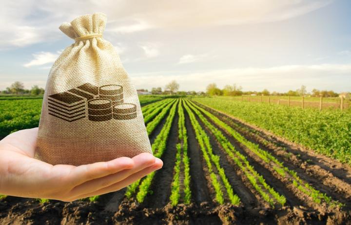Αύξηση 30,6% στα αγροτικά εισοδήματα τον Ιούνιο 2023