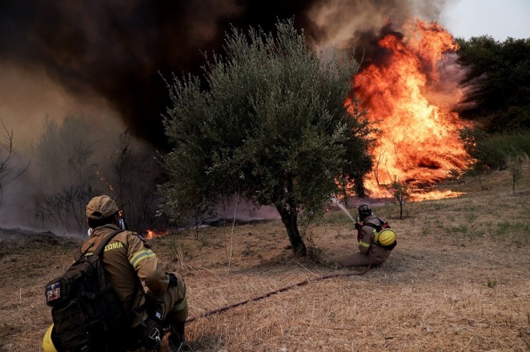 Φωτιά σε δασική περιοχή στο Αηδονοχώρι Σερρών
