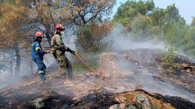 Φωτιά στον Έβρο: Nεκροί 18 μετανάστες κοντά στο δάσος της Δαδιάς