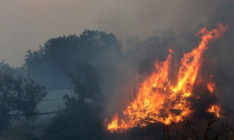 Πυρκαγιά σε αγροτοδασική έκταση στον Πρόδρομο Βοιωτίας