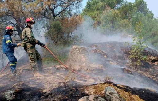Θεσσαλονίκη: «Οι σημαντικότερες επιπτώσεις των πυρκαγιών στον Έβρο είναι οι έμμεσες»