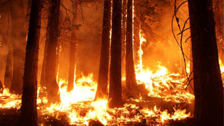 Νεκροί και δεκάδες καμένα σπίτια από τις δασικές πυρκαγιές στο Κουΐνσλαντ της Αυστραλίας