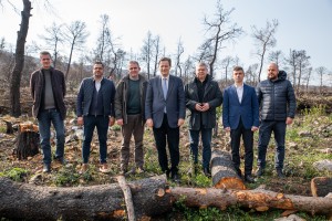 Η ΗELLENiQ ENERGY ολοκληρώνει  τα κρίσιμα αντιδιαβρωτικά έργα στις καμένες  εκτάσεις της Αττικής