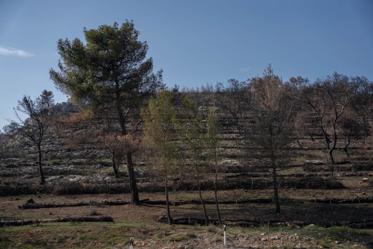 ΤΕΡΝΑ: Χρηματοδοτεί με 1 εκατ. ευρώ τις πυρόπληκτες  περιοχές της Μάνδρας - dimoprasion.gr
