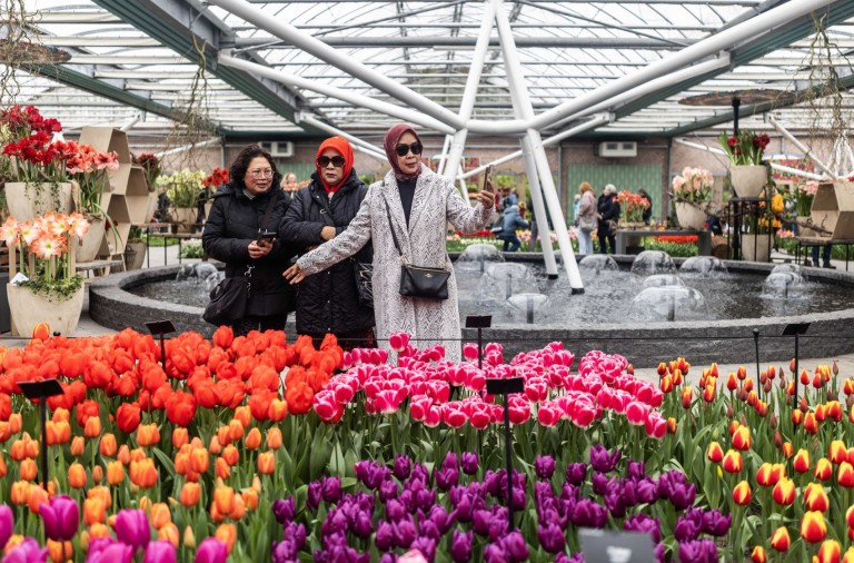 Ο μεγαλύτερος κήπος με τουλίπες στον κόσμο γιορτάζει τα 75α γενέθλιά του - DIMOPRASIONGR