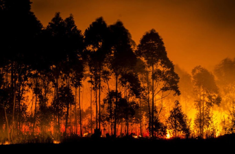 Καίγονται ξανά τα δάση στην Ελλάδα - DIMOPRASIONGR