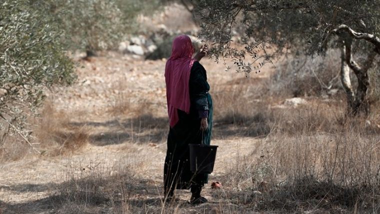 Μόνο το 1,5% της γεωργικής γης στη Γάζα είναι πλέον καλλιεργήσιμο